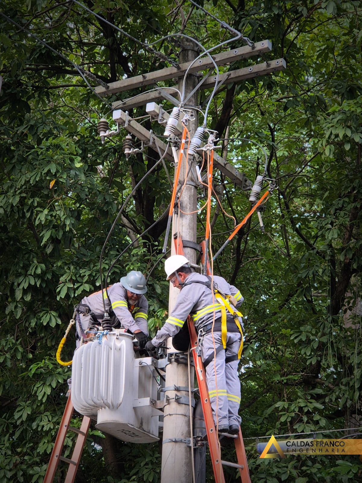 Caldas Franco Engenharia - BIOPARQUE - 01